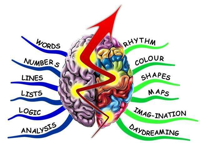 Emisfera cerebrala
